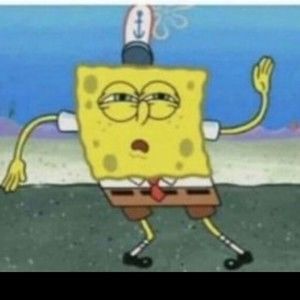 Meet your Posher, Nermmy